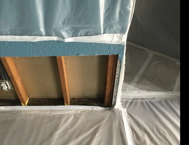 Mold clearance inspection of a remediated area